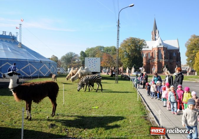 Zdjęcie w galerii na portalu naszraciborz.pl: Niecodzienni goście pod starostwem wiadomości z regionu