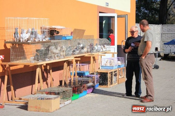 Zdjęcie w galerii na portalu naszraciborz.pl: Wystawa drobnego inwentarza w Pietrowicach Wielkich wiadomości z regionu