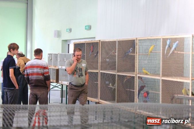 Zdjęcie w galerii na portalu naszraciborz.pl: Wystawa drobnego inwentarza w Pietrowicach Wielkich wiadomości z regionu