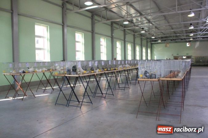 Zdjęcie w galerii na portalu naszraciborz.pl: Wystawa drobnego inwentarza w Pietrowicach Wielkich wiadomości z regionu