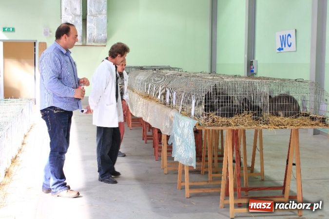 Zdjęcie w galerii na portalu naszraciborz.pl: Wystawa drobnego inwentarza w Pietrowicach Wielkich wiadomości z regionu