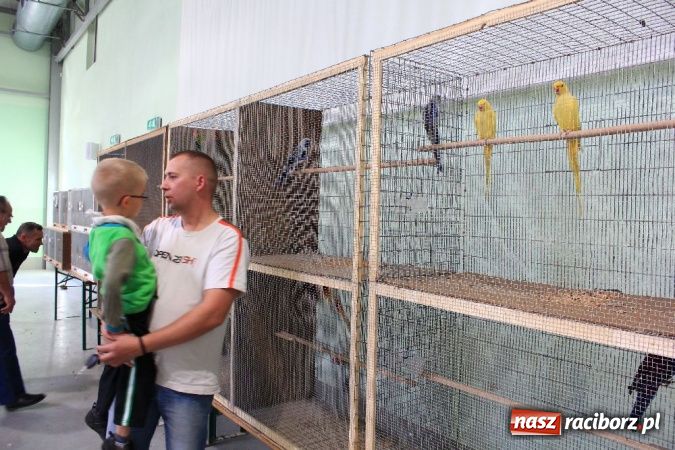 Zdjęcie w galerii na portalu naszraciborz.pl: Wystawa drobnego inwentarza w Pietrowicach Wielkich wiadomości z regionu