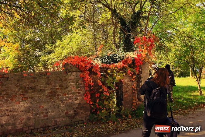 Zdjęcie w galerii na portalu naszraciborz.pl: Barwy jesieni światłem malowane... wiadomości z regionu