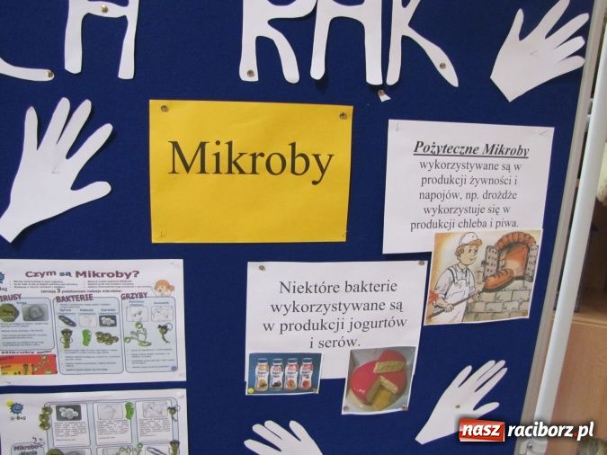 Zdjęcie w galerii na portalu naszraciborz.pl: Mydło wszystko umyje, nawet uszy i szyję  wiadomości z regionu