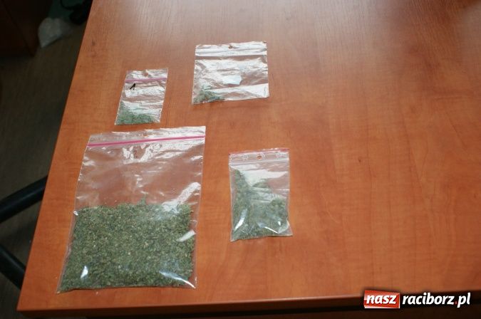 Zdjęcie w galerii na portalu naszraciborz.pl: W aucie miał ponad 30 g marihuany wiadomości z regionu