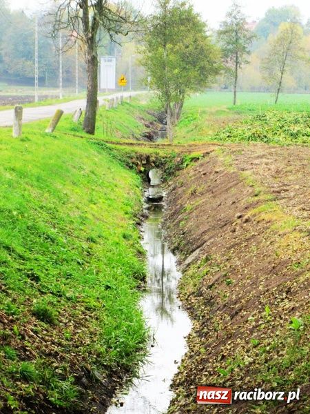 Zdjęcie w galerii na portalu naszraciborz.pl: Kiedyś na Zachodzie, teraz także u nas wiadomości z regionu