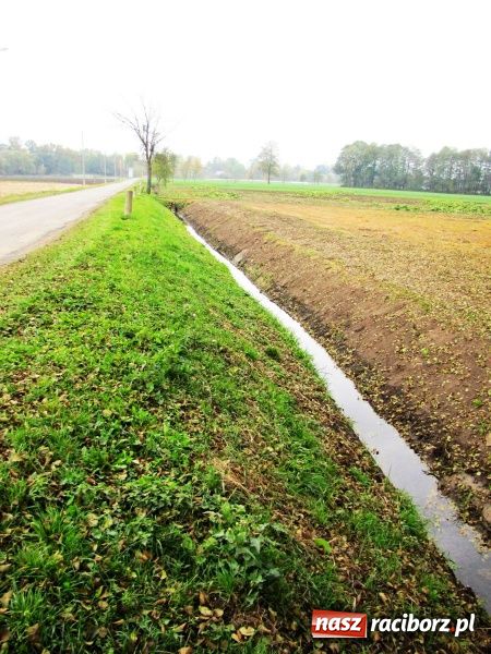Zdjęcie w galerii na portalu naszraciborz.pl: Kiedyś na Zachodzie, teraz także u nas wiadomości z regionu