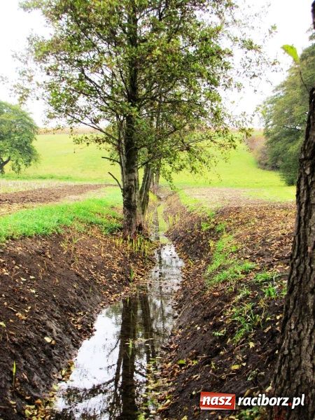 Zdjęcie w galerii na portalu naszraciborz.pl: Kiedyś na Zachodzie, teraz także u nas wiadomości z regionu