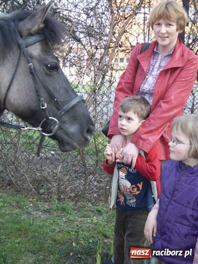 Zdjęcie w galerii na portalu naszraciborz.pl: Noc wśród Indian w bibliotece wiadomości z regionu