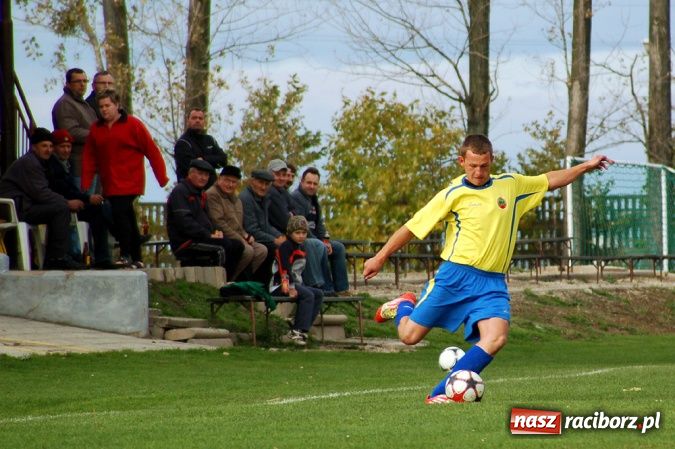 Zdjęcie w galerii na portalu naszraciborz.pl: Płomień nie spalił Owsiszcz wiadomości z regionu