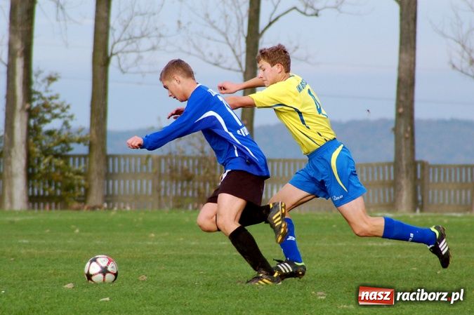 Zdjęcie w galerii na portalu naszraciborz.pl: Płomień nie spalił Owsiszcz wiadomości z regionu