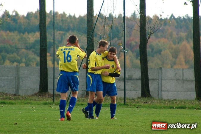 Zdjęcie w galerii na portalu naszraciborz.pl: Płomień nie spalił Owsiszcz wiadomości z regionu