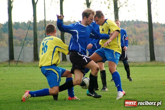 Zdjęcie w galerii na portalu naszraciborz.pl: Płomień nie spalił Owsiszcz wiadomości z regionu