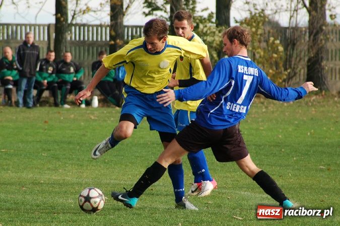 Zdjęcie w galerii na portalu naszraciborz.pl: Płomień nie spalił Owsiszcz wiadomości z regionu