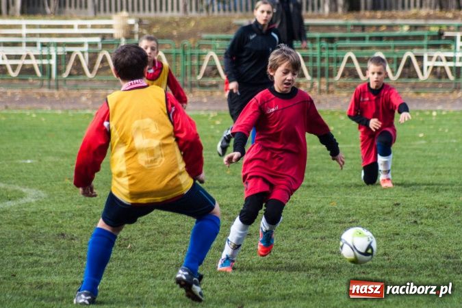 Zdjęcie w galerii na portalu naszraciborz.pl: Krzysztof Bienia uziemił Ikara wiadomości z regionu