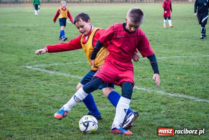 Zdjęcie w galerii na portalu naszraciborz.pl: Krzysztof Bienia uziemił Ikara wiadomości z regionu
