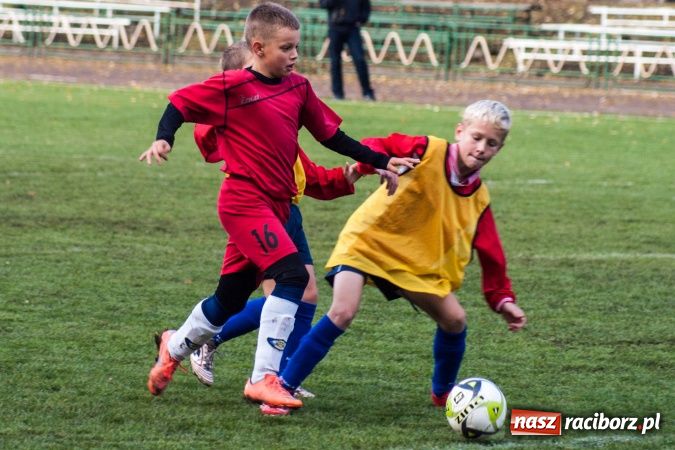 Zdjęcie w galerii na portalu naszraciborz.pl: Krzysztof Bienia uziemił Ikara wiadomości z regionu