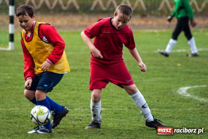 Zdjęcie w galerii na portalu naszraciborz.pl: Krzysztof Bienia uziemił Ikara wiadomości z regionu