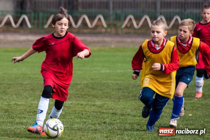 Zdjęcie w galerii na portalu naszraciborz.pl: Krzysztof Bienia uziemił Ikara wiadomości z regionu