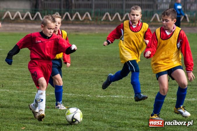 Zdjęcie w galerii na portalu naszraciborz.pl: Krzysztof Bienia uziemił Ikara wiadomości z regionu