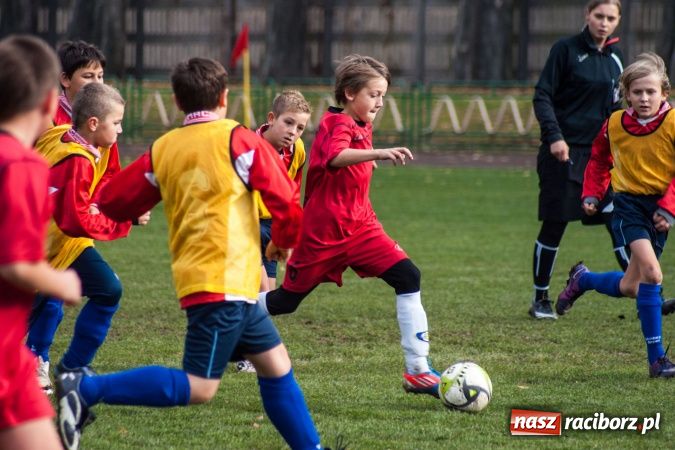Zdjęcie w galerii na portalu naszraciborz.pl: Krzysztof Bienia uziemił Ikara wiadomości z regionu