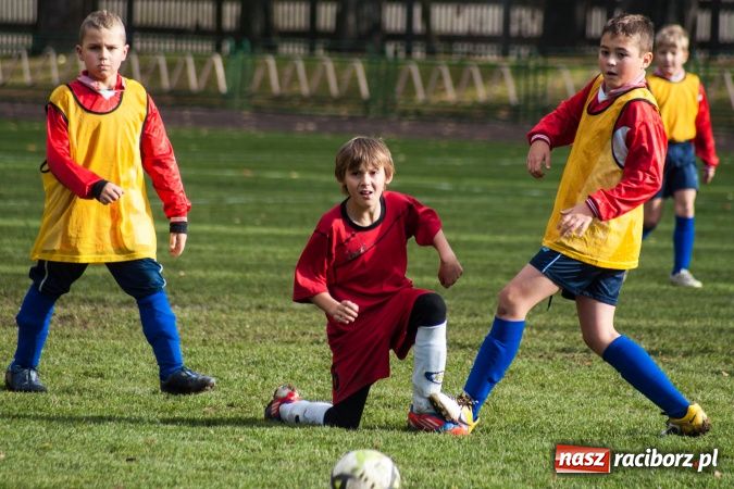 Zdjęcie w galerii na portalu naszraciborz.pl: Krzysztof Bienia uziemił Ikara wiadomości z regionu
