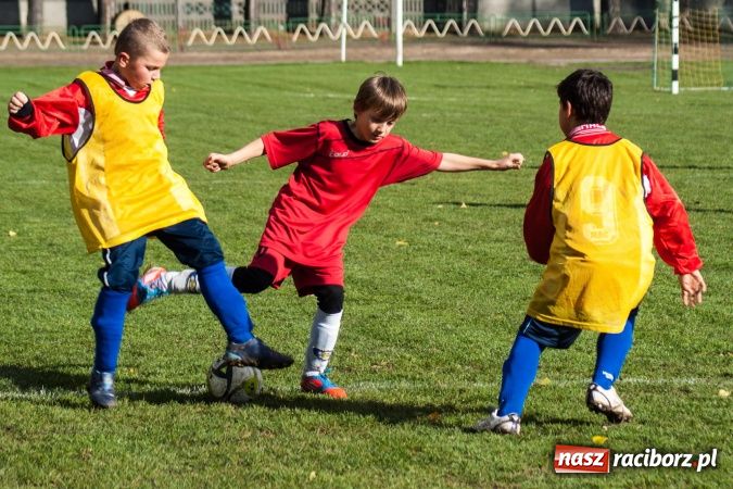 Zdjęcie w galerii na portalu naszraciborz.pl: Krzysztof Bienia uziemił Ikara wiadomości z regionu