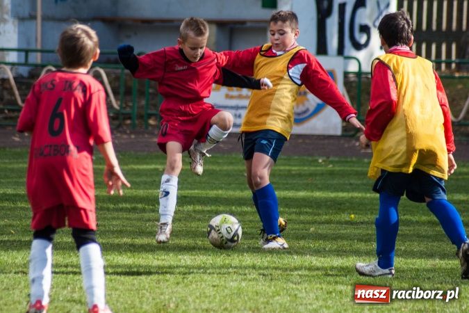 Zdjęcie w galerii na portalu naszraciborz.pl: Krzysztof Bienia uziemił Ikara wiadomości z regionu