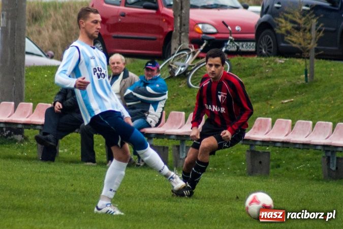 Zdjęcie w galerii na portalu naszraciborz.pl: Dziki zryły murawę w Bieńkowicach. Grano w Bolesławiu wiadomości z regionu