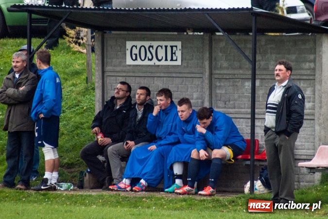 Zdjęcie w galerii na portalu naszraciborz.pl: Dziki zryły murawę w Bieńkowicach. Grano w Bolesławiu wiadomości z regionu