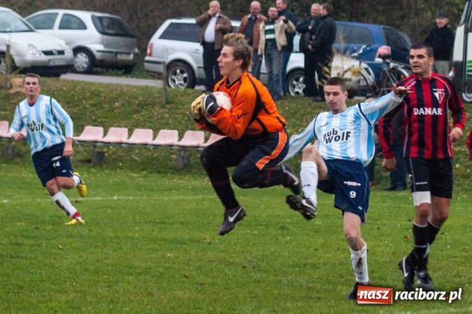 Zdjęcie w galerii na portalu naszraciborz.pl: Dziki zryły murawę w Bieńkowicach. Grano w Bolesławiu wiadomości z regionu