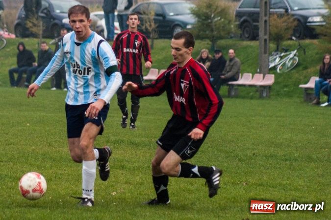 Zdjęcie w galerii na portalu naszraciborz.pl: Dziki zryły murawę w Bieńkowicach. Grano w Bolesławiu wiadomości z regionu