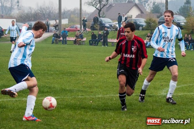 Zdjęcie w galerii na portalu naszraciborz.pl: Dziki zryły murawę w Bieńkowicach. Grano w Bolesławiu wiadomości z regionu