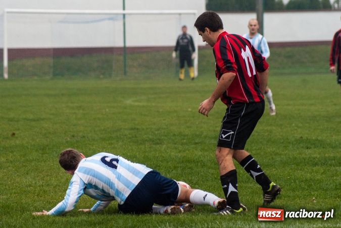 Zdjęcie w galerii na portalu naszraciborz.pl: Dziki zryły murawę w Bieńkowicach. Grano w Bolesławiu wiadomości z regionu