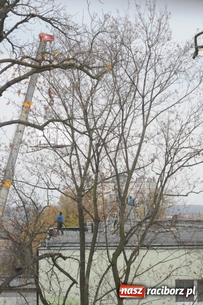 Zdjęcie w galerii na portalu naszraciborz.pl: Na dachu Mechanika zamontowano kopułę obserwatorium astronomicznego wiadomości z regionu