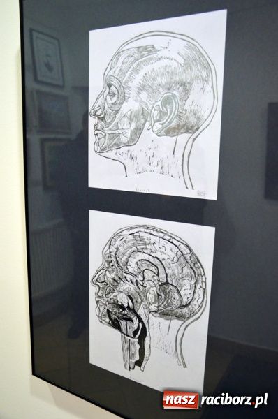 Zdjęcie w galerii na portalu naszraciborz.pl: Wernisaż grafik dr Karoliny Stanieczek wiadomości z regionu