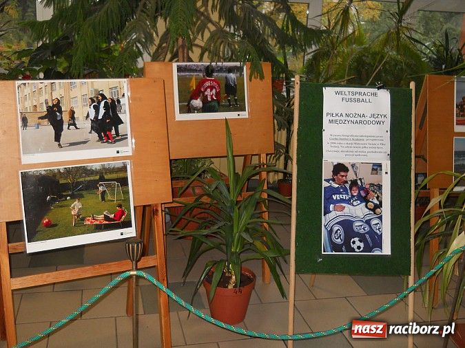 Zdjęcie w galerii na portalu naszraciborz.pl: Europejski Dzień Języków Obcych w Gimnazjum Nr 1 w Raciborzu  wiadomości z regionu