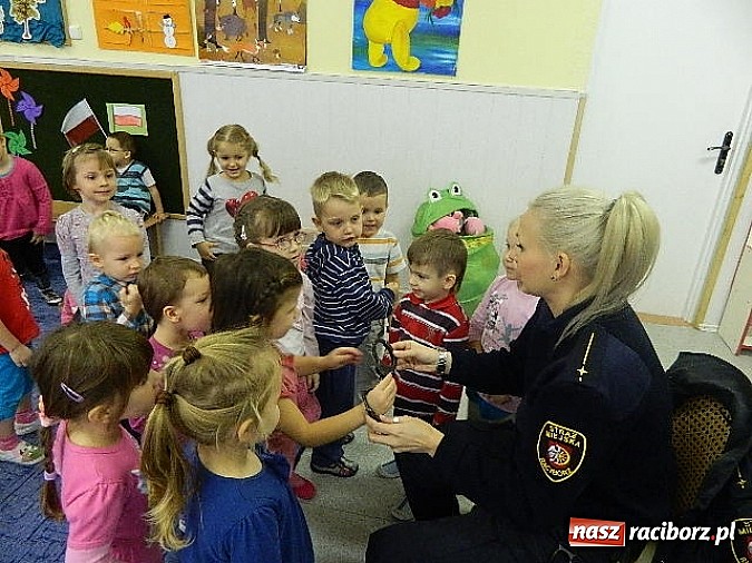 Zdjęcie w galerii na portalu naszraciborz.pl: Kiedy powinniśmy wzywać straż miejską? wiadomości z regionu