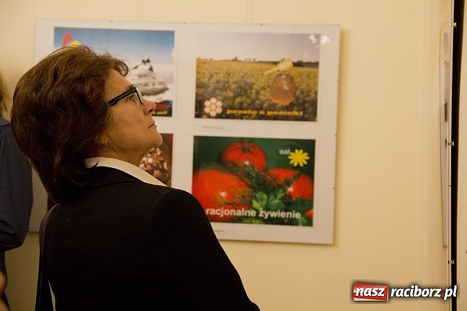 Zdjęcie w galerii na portalu naszraciborz.pl: Uczniowie Ekonomika wystawiają prace na zamku. Prezentują wysoki poziom wiadomości z regionu