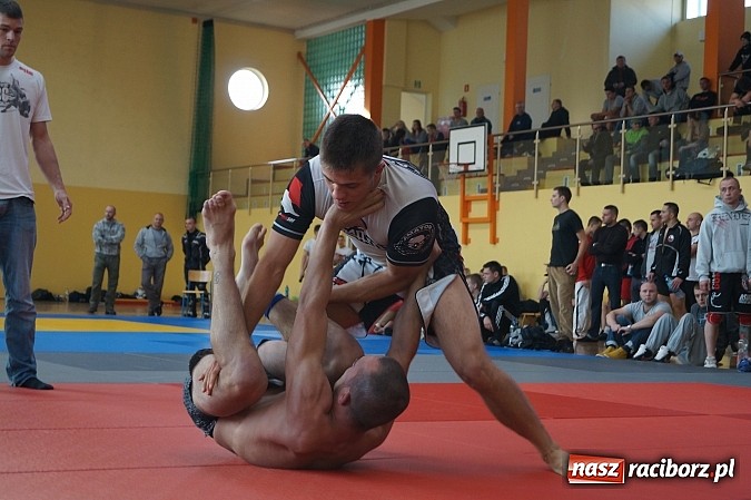 Zdjęcie w galerii na portalu naszraciborz.pl: Trzy medale Łamatora wiadomości z regionu