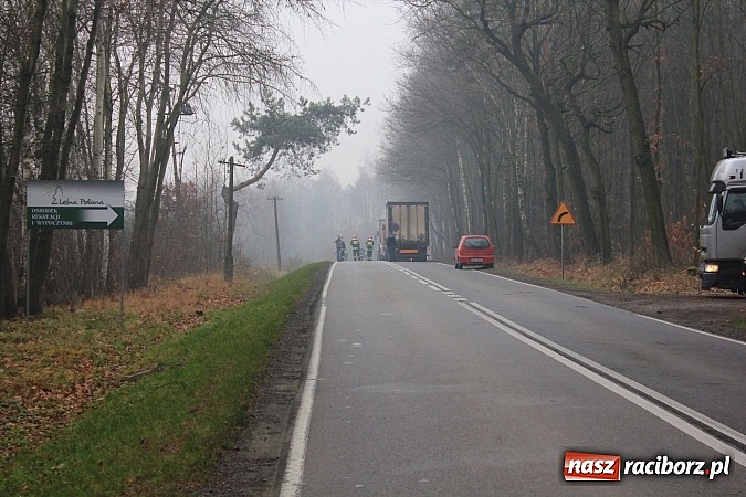 Zdjęcie w galerii na portalu naszraciborz.pl: Śmiertelny wypadek na drodze Racibórz-Szymocice. Nie żyje sołtys Nędzy wiadomości z regionu