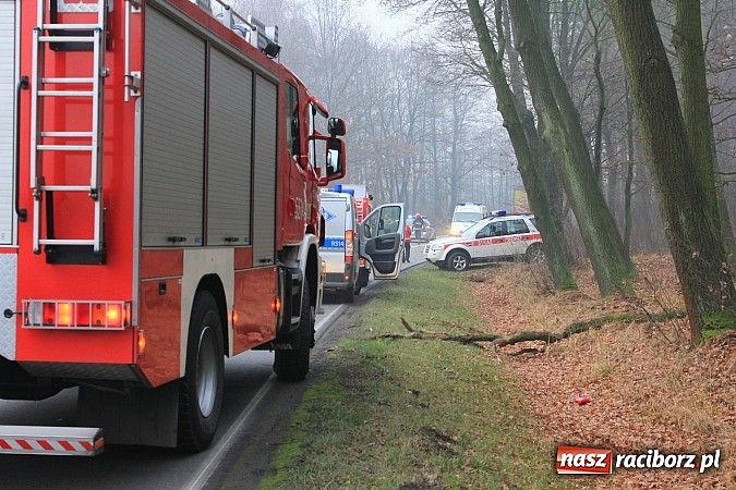 Zdjęcie w galerii na portalu naszraciborz.pl: Śmiertelny wypadek na drodze Racibórz-Szymocice. Nie żyje sołtys Nędzy wiadomości z regionu