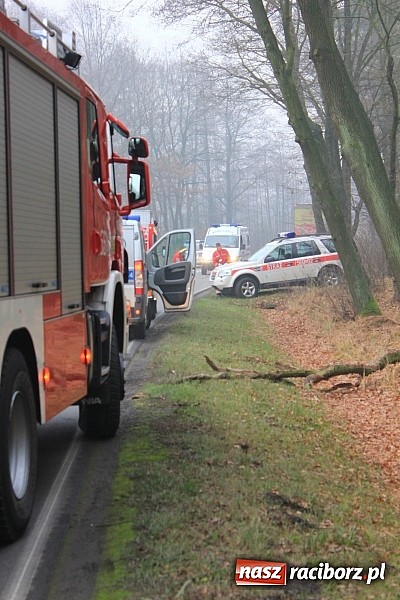 Zdjęcie w galerii na portalu naszraciborz.pl: Śmiertelny wypadek na drodze Racibórz-Szymocice. Nie żyje sołtys Nędzy wiadomości z regionu