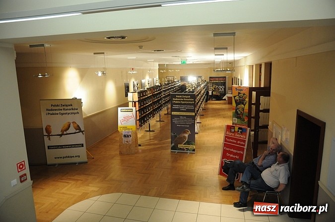 Zdjęcie w galerii na portalu naszraciborz.pl: RCK wypełnił się ptasim śpiewem wiadomości z regionu