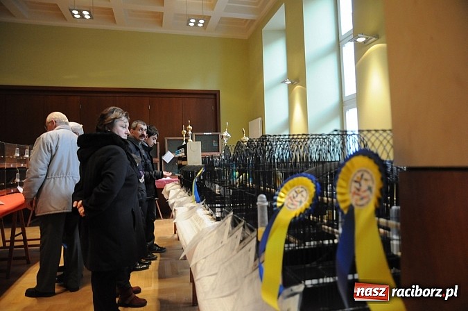 Zdjęcie w galerii na portalu naszraciborz.pl: RCK wypełnił się ptasim śpiewem wiadomości z regionu