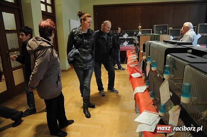 Zdjęcie w galerii na portalu naszraciborz.pl: RCK wypełnił się ptasim śpiewem wiadomości z regionu