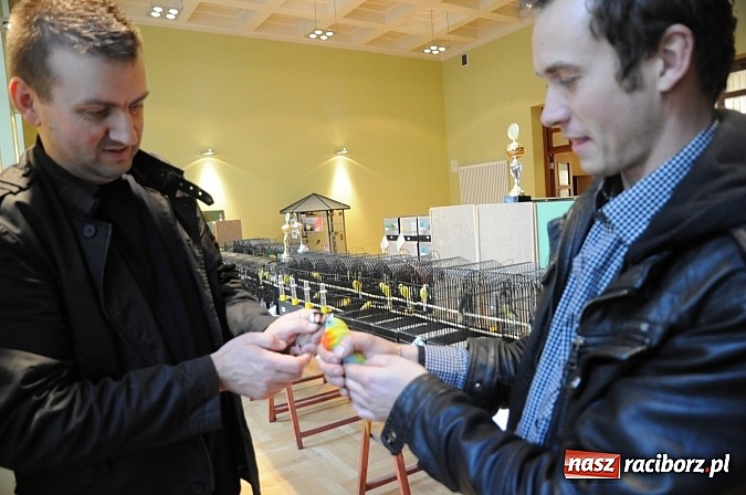 Zdjęcie w galerii na portalu naszraciborz.pl: RCK wypełnił się ptasim śpiewem wiadomości z regionu