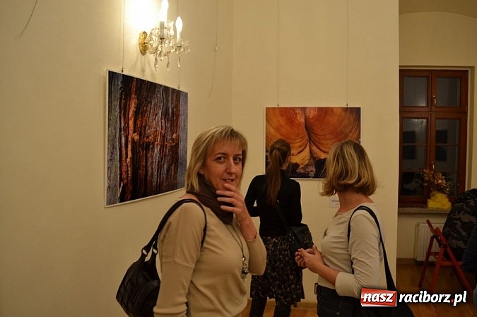 Zdjęcie w galerii na portalu naszraciborz.pl: Łężczok w fotografii - wernisaż Wiesławy Hołyńskiej wiadomości z regionu
