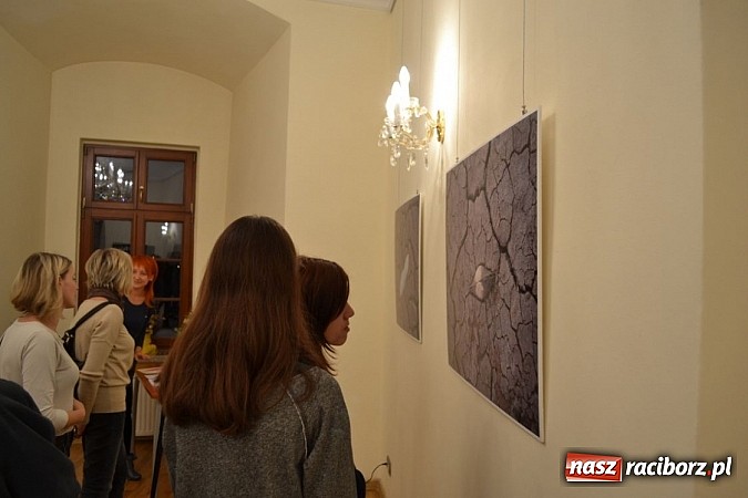 Zdjęcie w galerii na portalu naszraciborz.pl: Łężczok w fotografii - wernisaż Wiesławy Hołyńskiej wiadomości z regionu