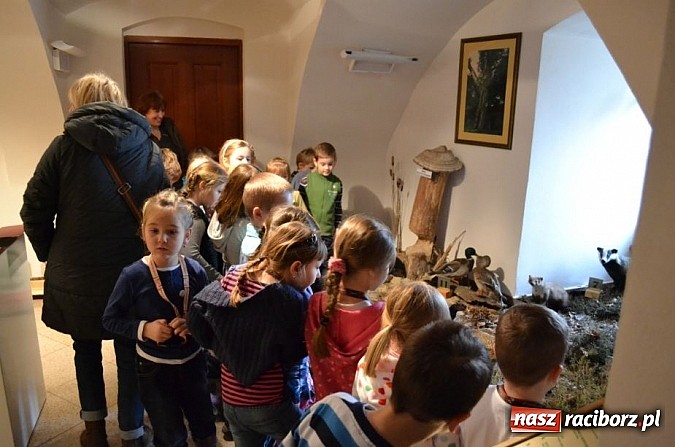 Zdjęcie w galerii na portalu naszraciborz.pl: Dotknęły zęba mamuta i czaszki wilka wiadomości z regionu